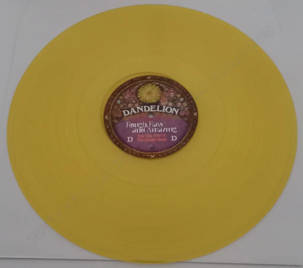 Captain Beefheart - Don Van Vliet And The Magic Band, Rough, Raw And Amazing (Live At Leicester De Montfort Hall 1972) (Double album, yellow vinyl) Image 1++